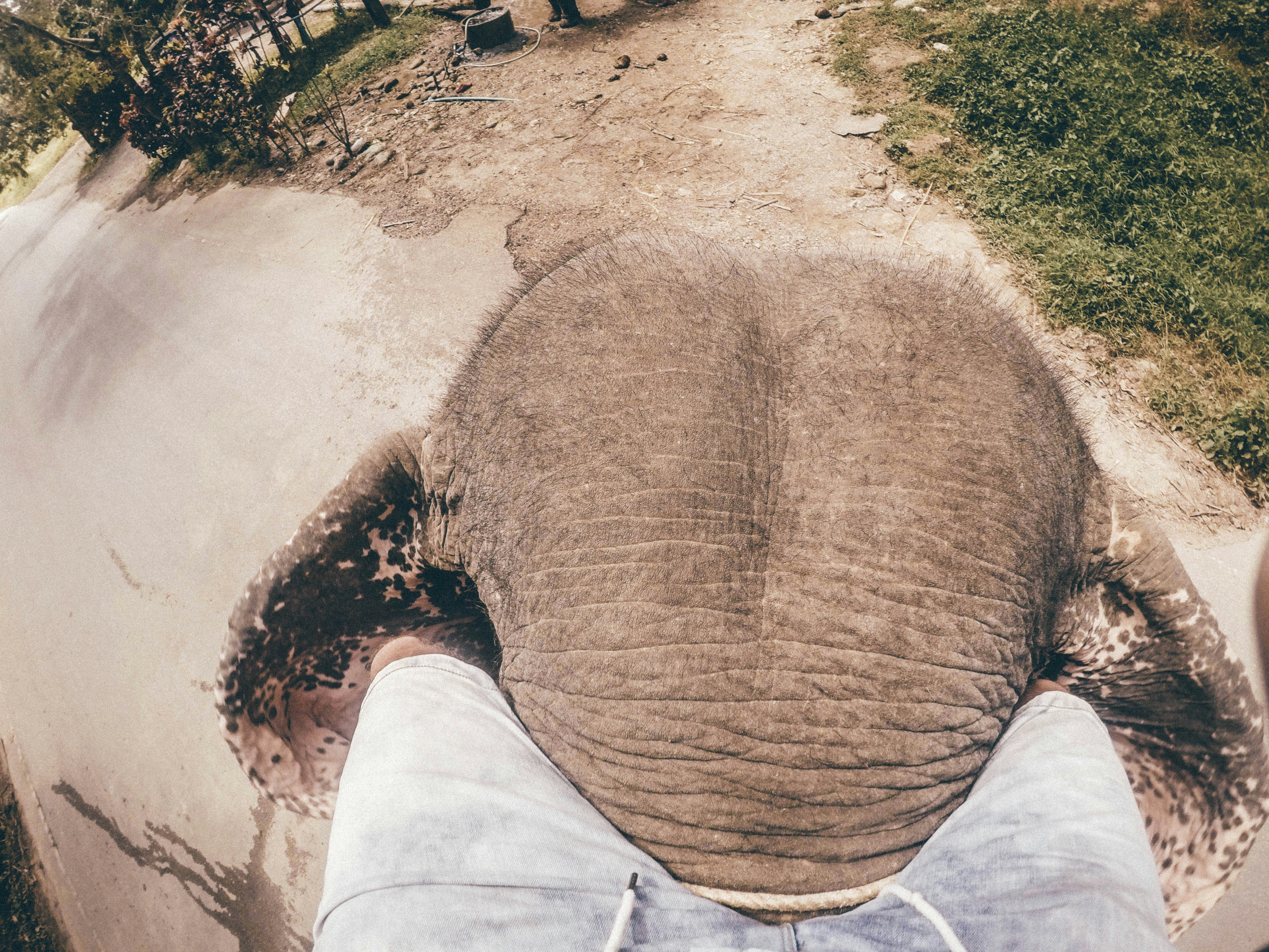 Free Unsplash photo from Ahmet Sali