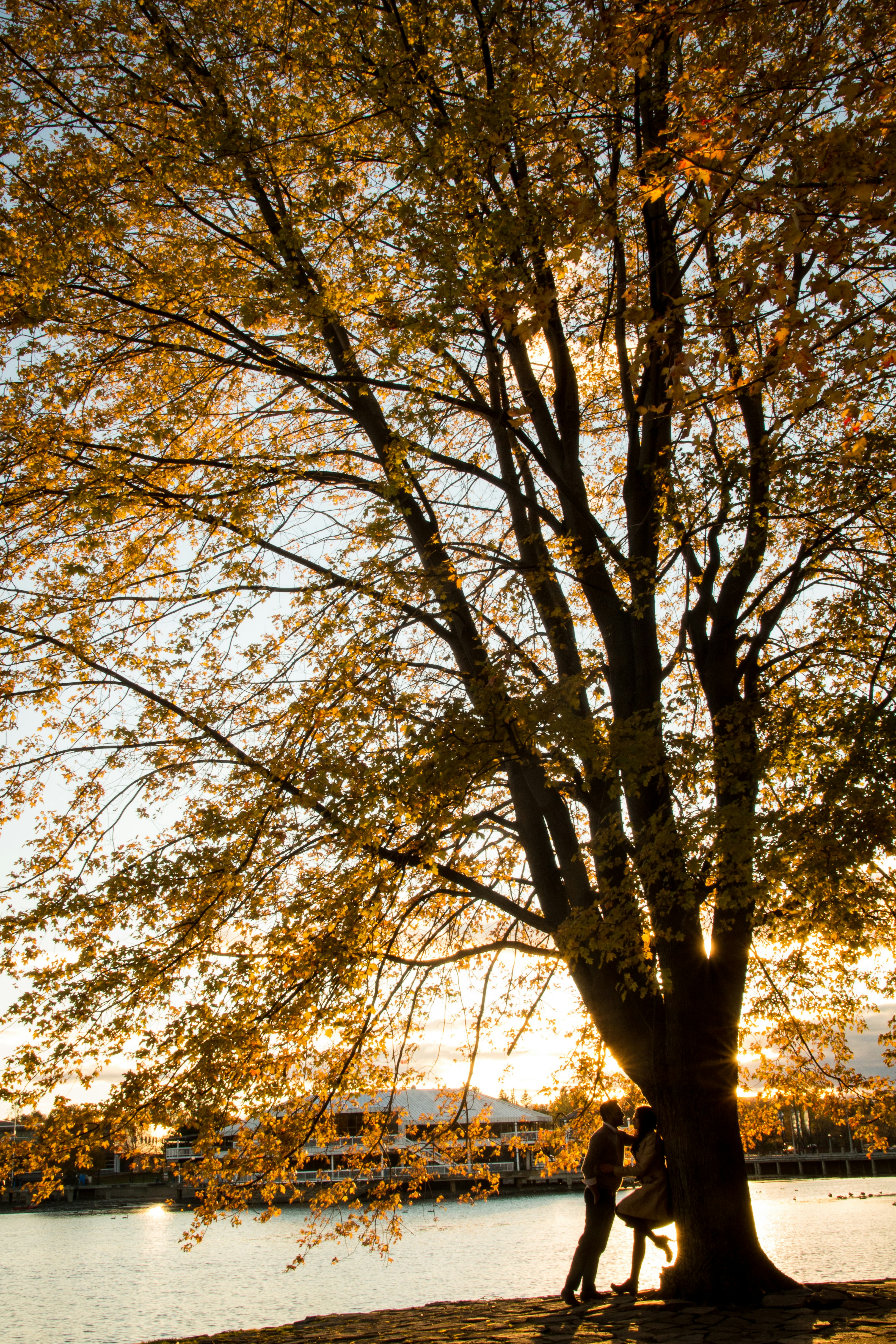 Ottawa fall couple
