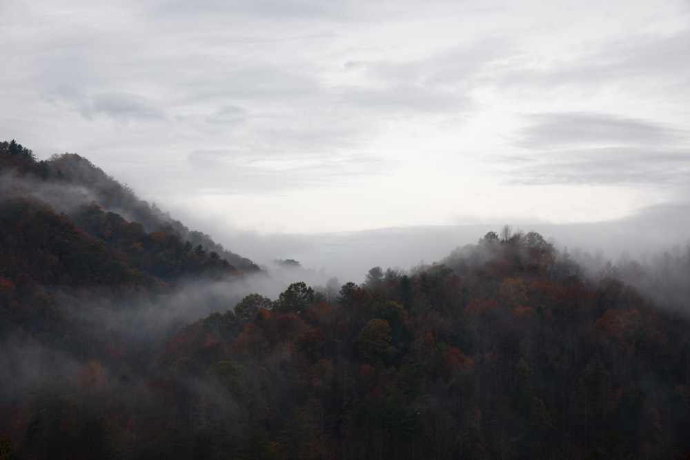 fotografia di cielo bianco