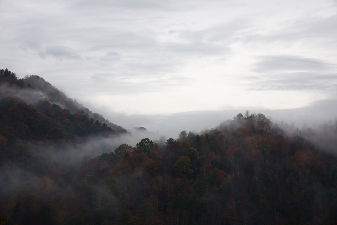 photo of Blowing Rock Hill station near Blue Ridge Parkway