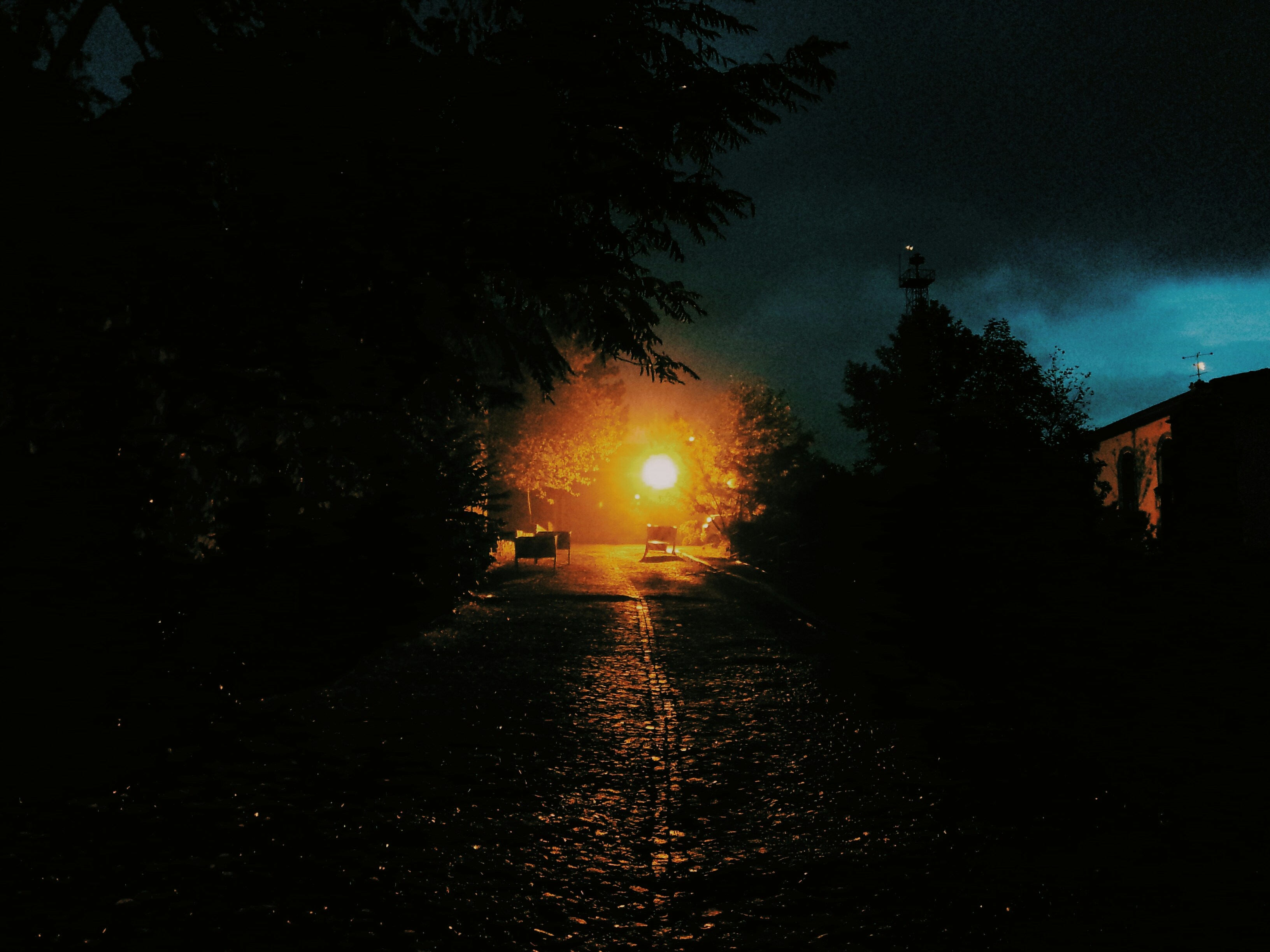 Free Unsplash photo from Jimmy Huang