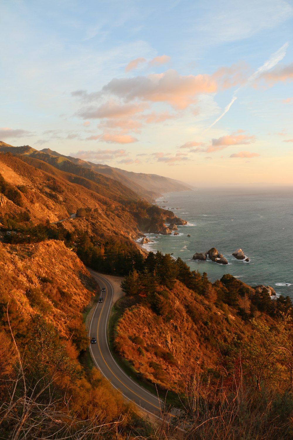 bird's eye photography of road near ocean