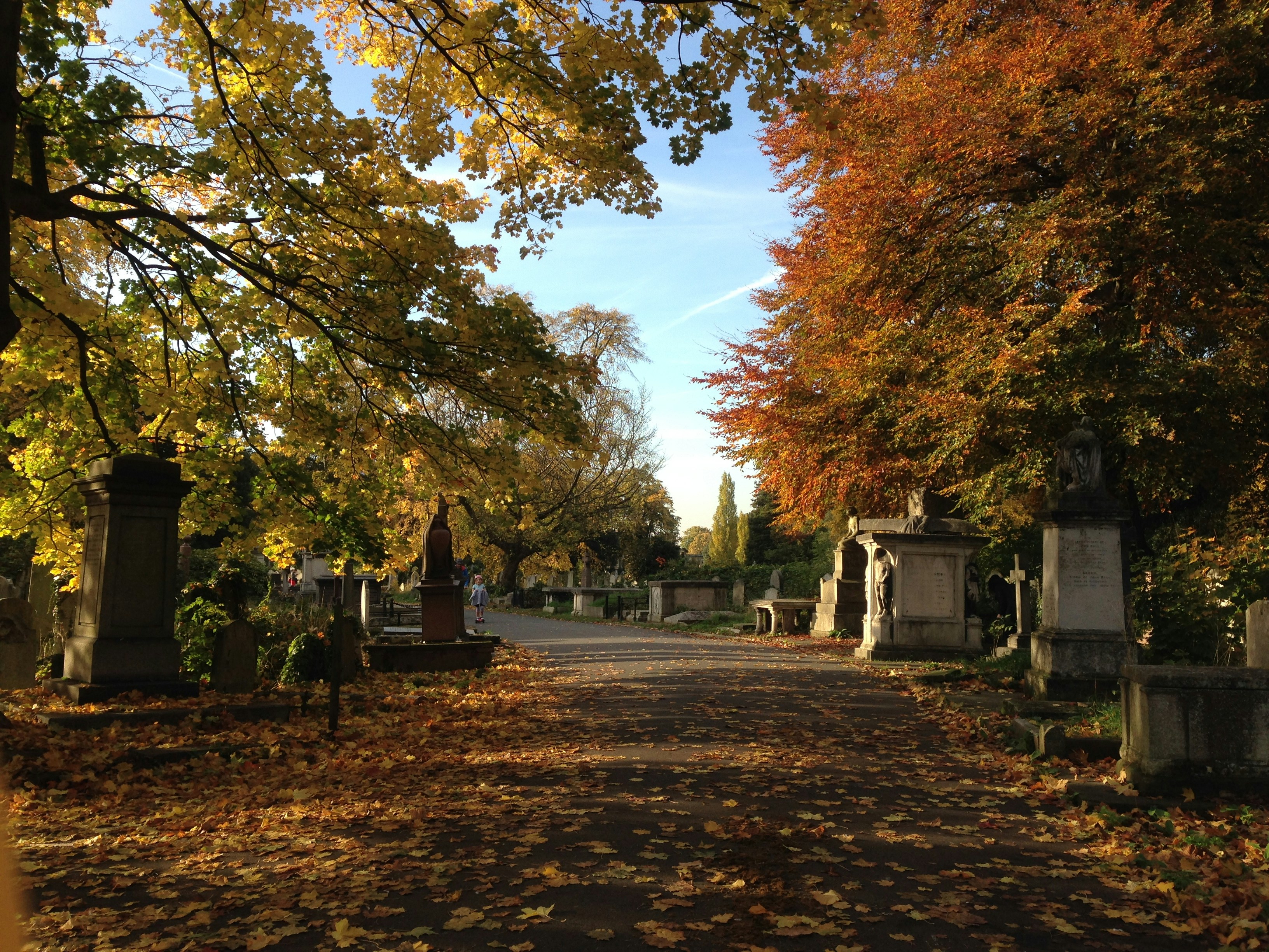 Free Unsplash photo from Buket Özgel