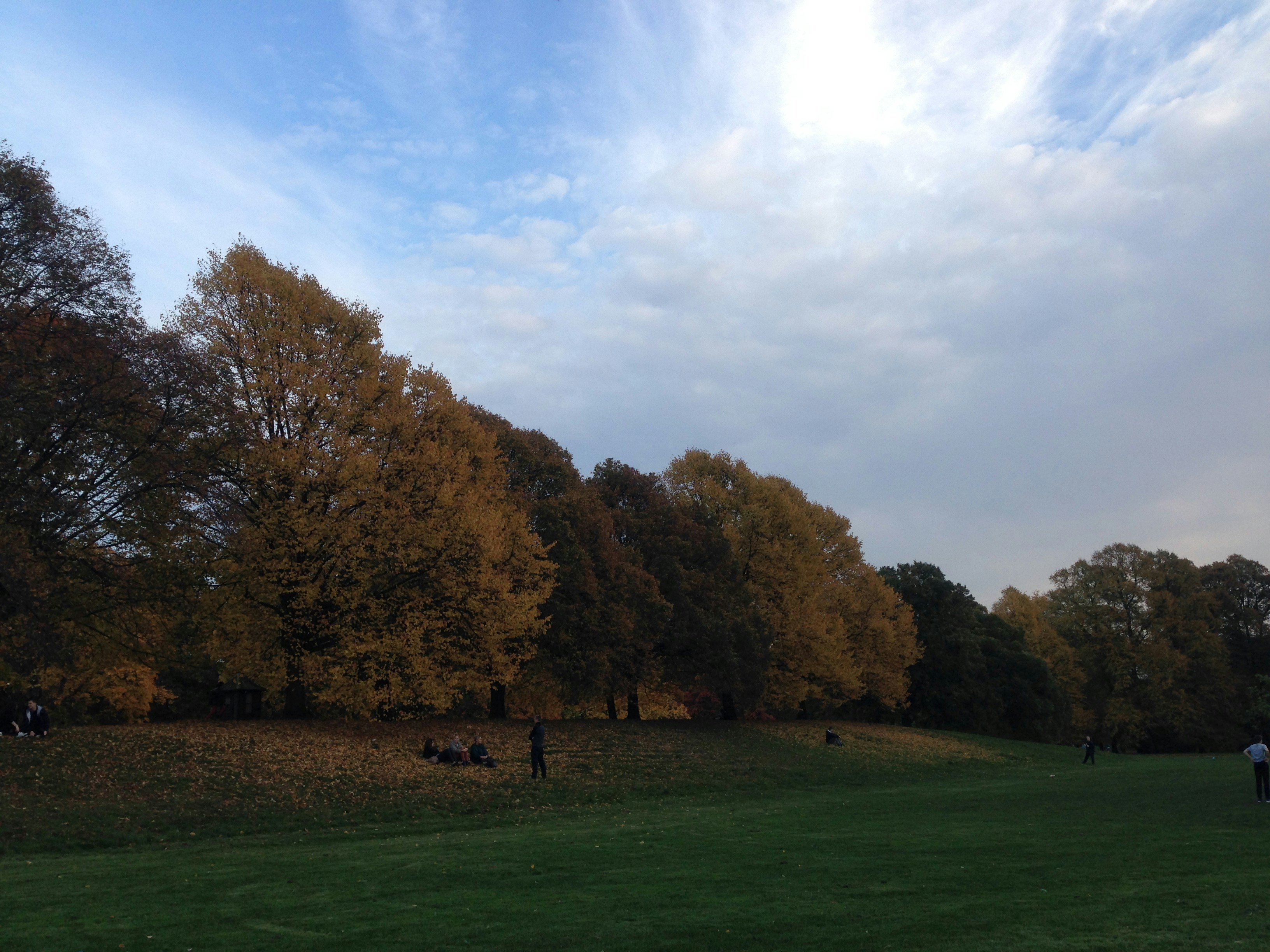 Free Unsplash photo from Buket Özgel