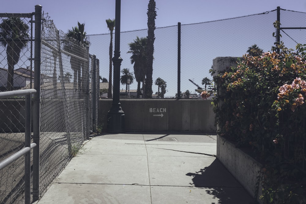 gray steel cyclone fence near plant