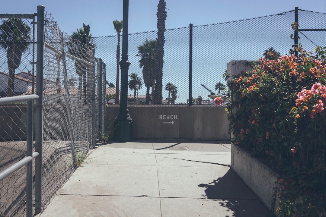 gray steel cyclone fence near plant