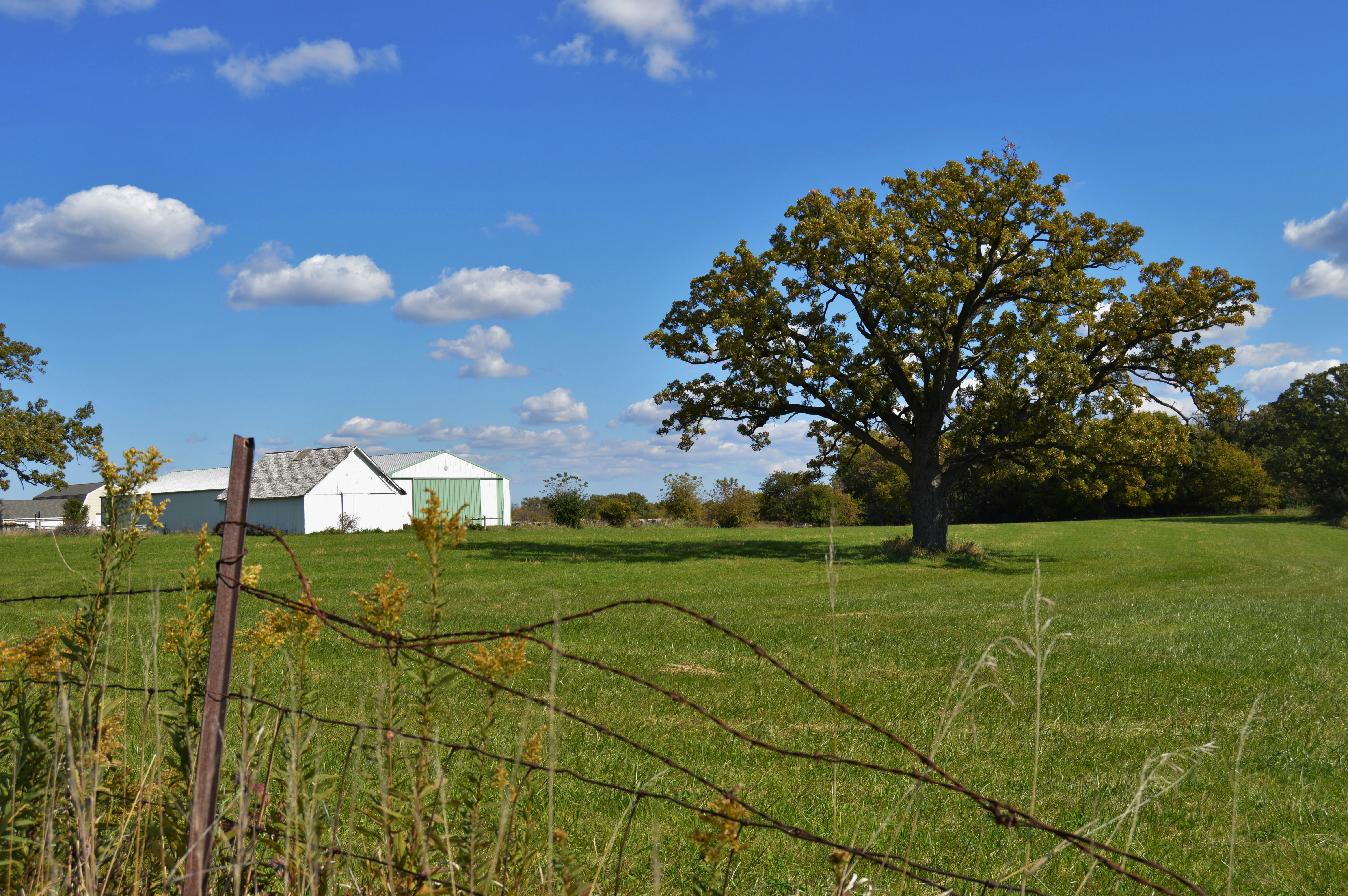 Free Unsplash photo from Rick Dern