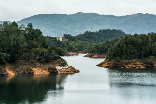 clear river surrounded by green leafed trees in Guatapé Colombia