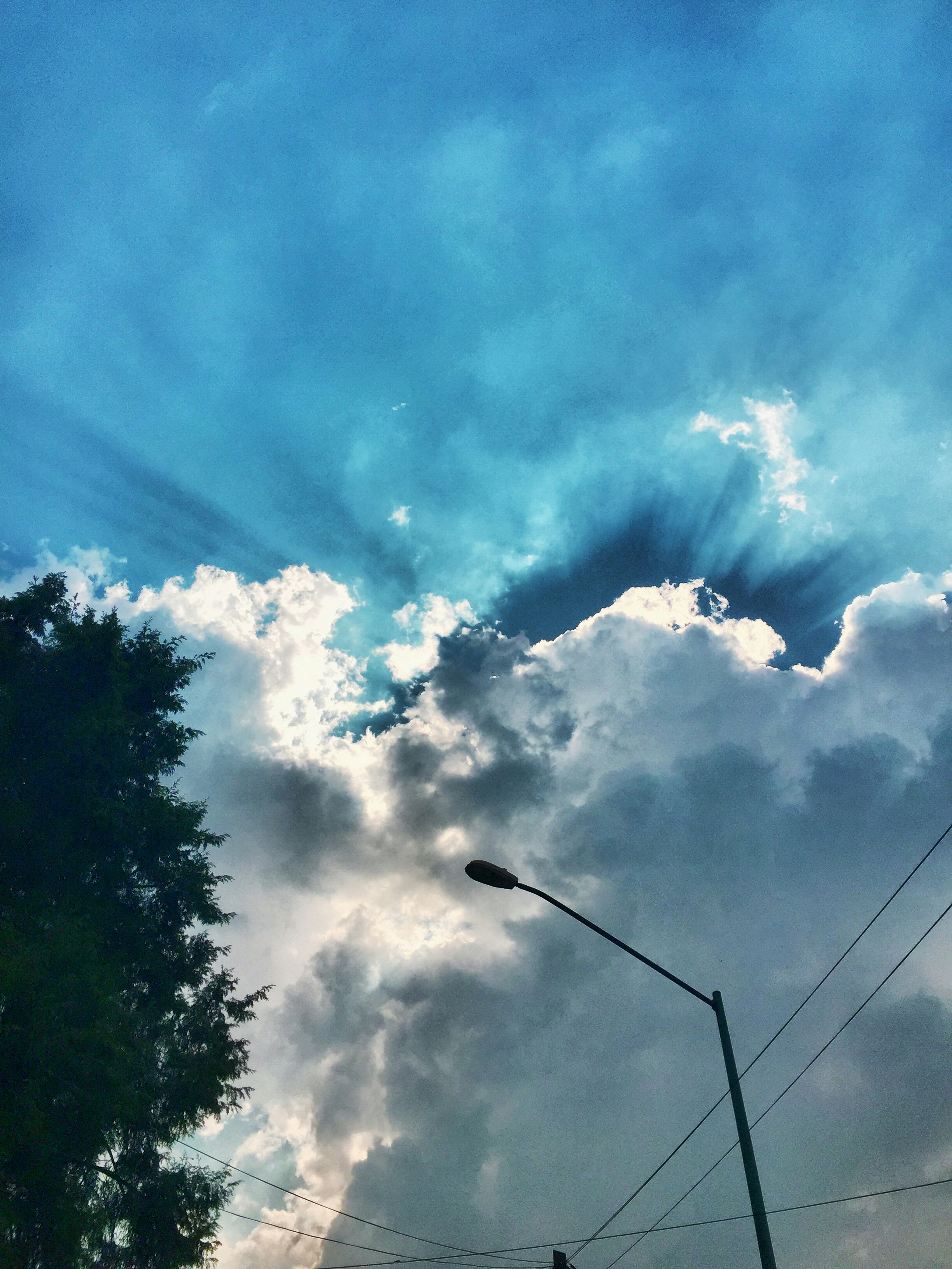 Free Unsplash photo from Dafne Aranda