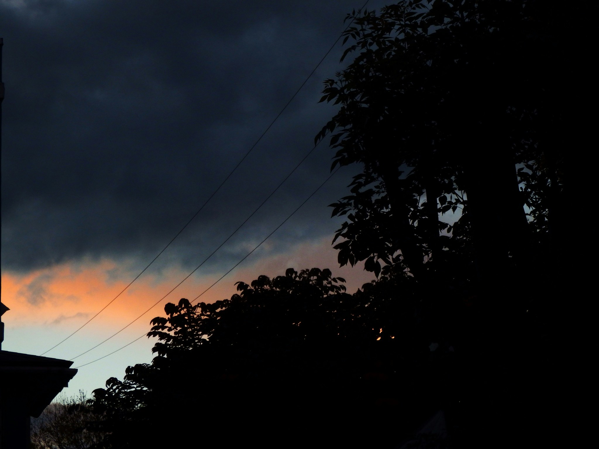 Free Unsplash photo from Dafne Aranda