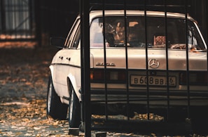 A vintage Mercedes-Benz car is parked behind a set of black metal bars. The car is white and appears slightly aged, surrounded by scattered dry leaves on the ground. The image has a warm, somewhat nostalgic feel due to the muted autumn colors and soft lighting.