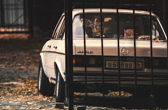 A vintage Mercedes-Benz car is parked behind a set of black metal bars. The car is white and appears slightly aged, surrounded by scattered dry leaves on the ground. The image has a warm, somewhat nostalgic feel due to the muted autumn colors and soft lighting.