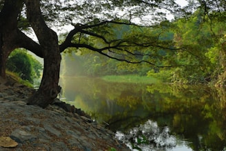 A serene landscape with a poet writing under a tree.