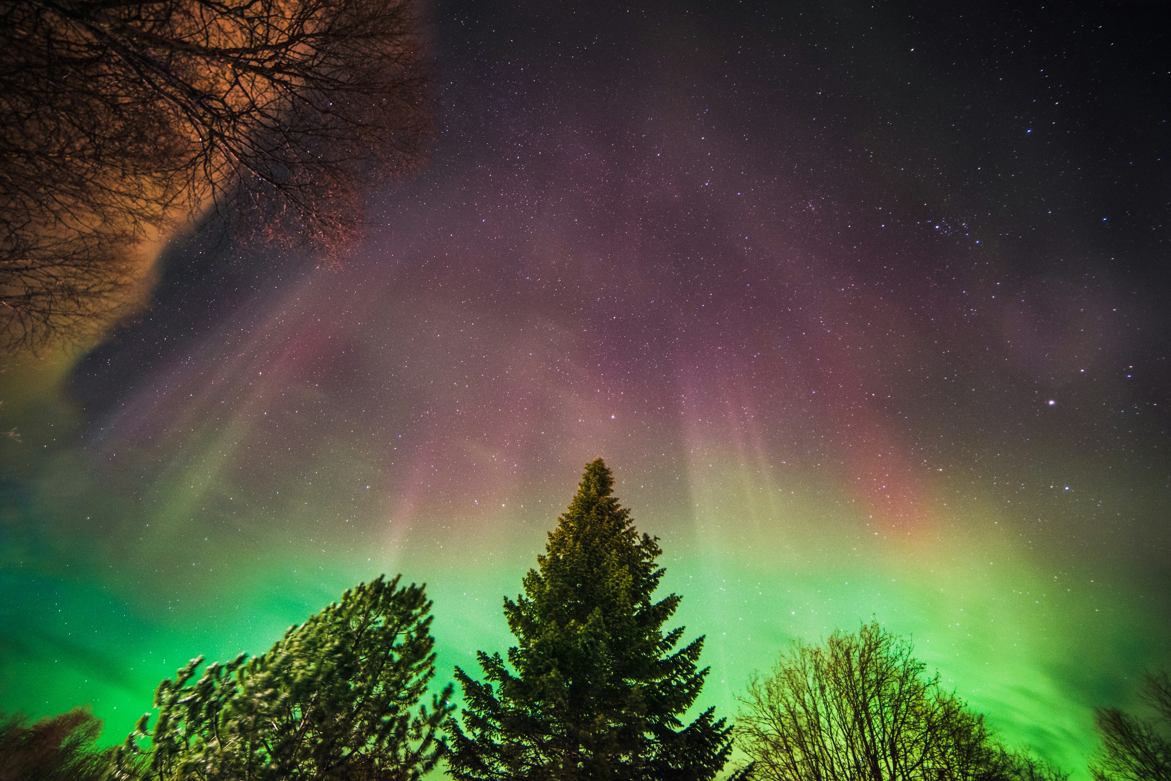 Free Unsplash photo from Håkon Sataøen