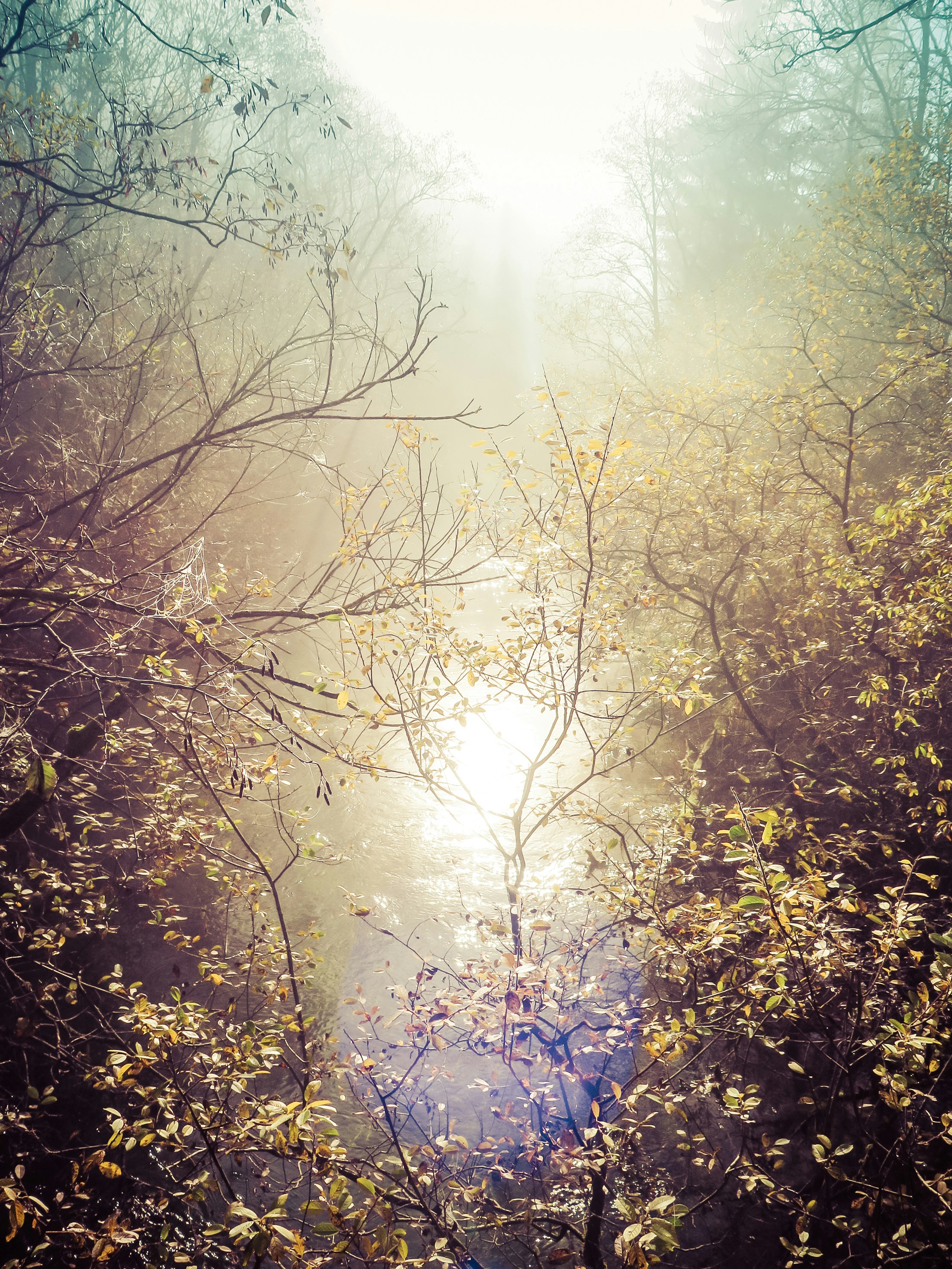 Free Unsplash photo from Hanna Bergblau