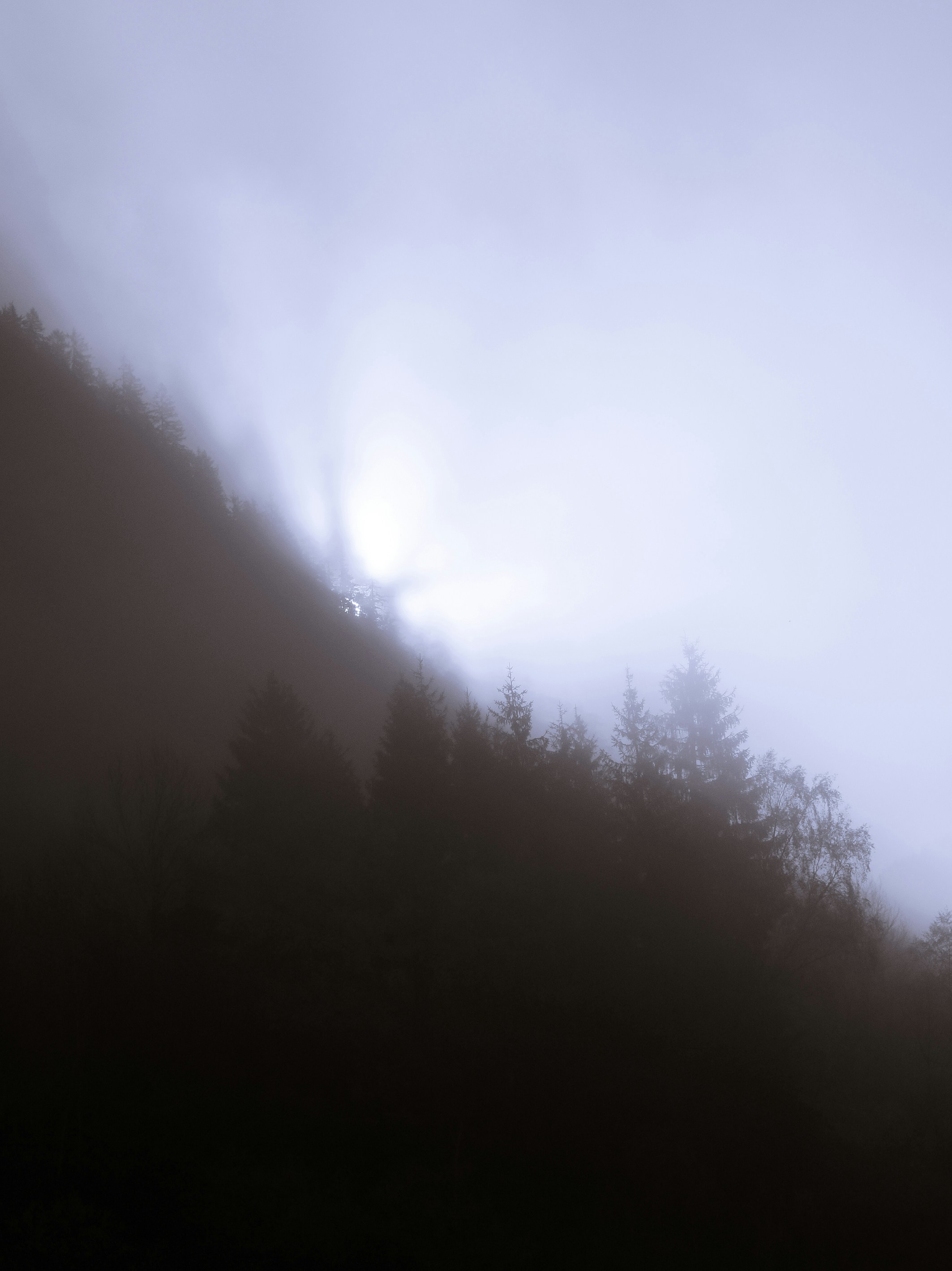 Free Unsplash photo from Hanna Bergblau