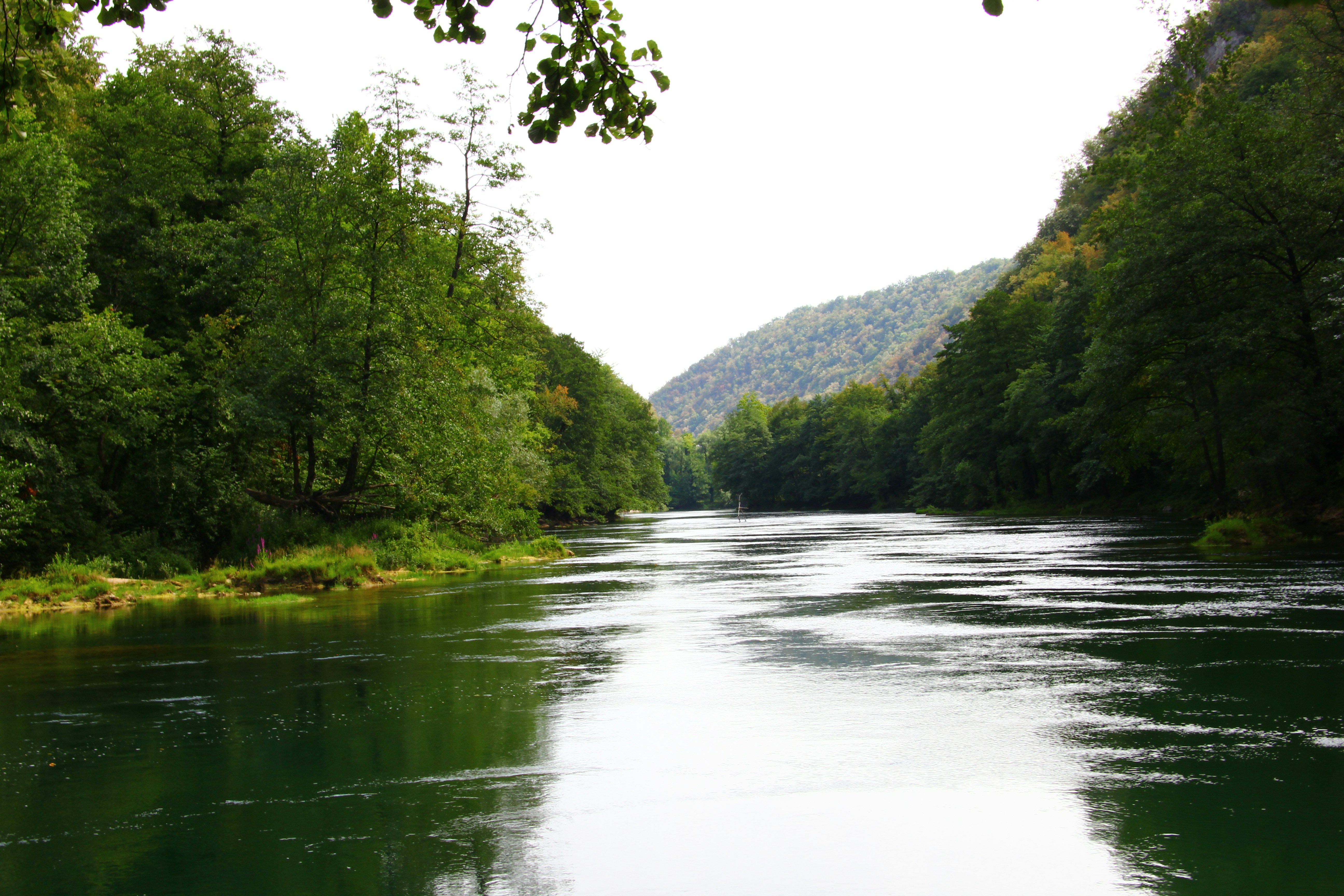 Free Unsplash photo from Imre Simon