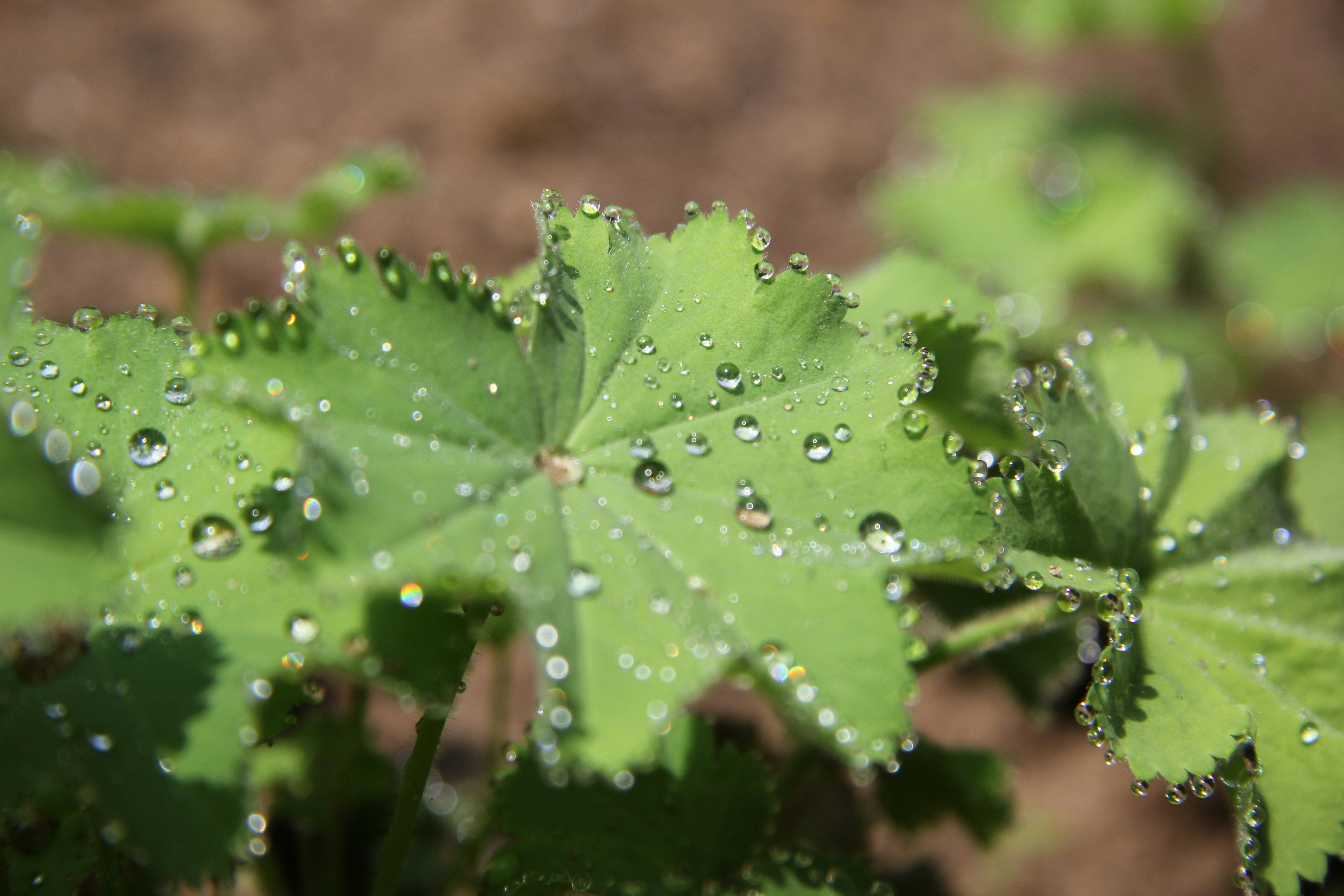 Free Unsplash photo from Imre Simon