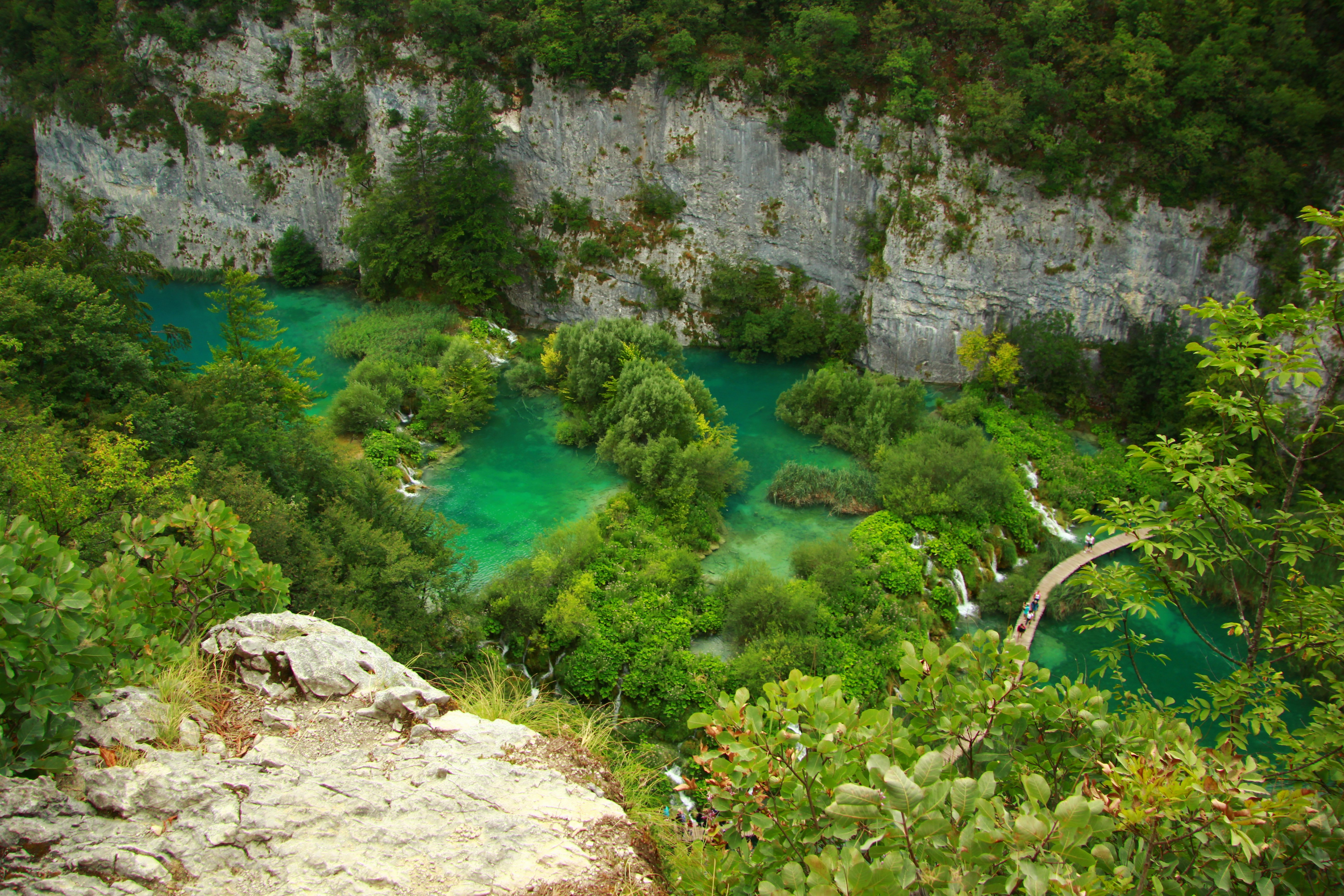 Free Unsplash photo from Imre Simon