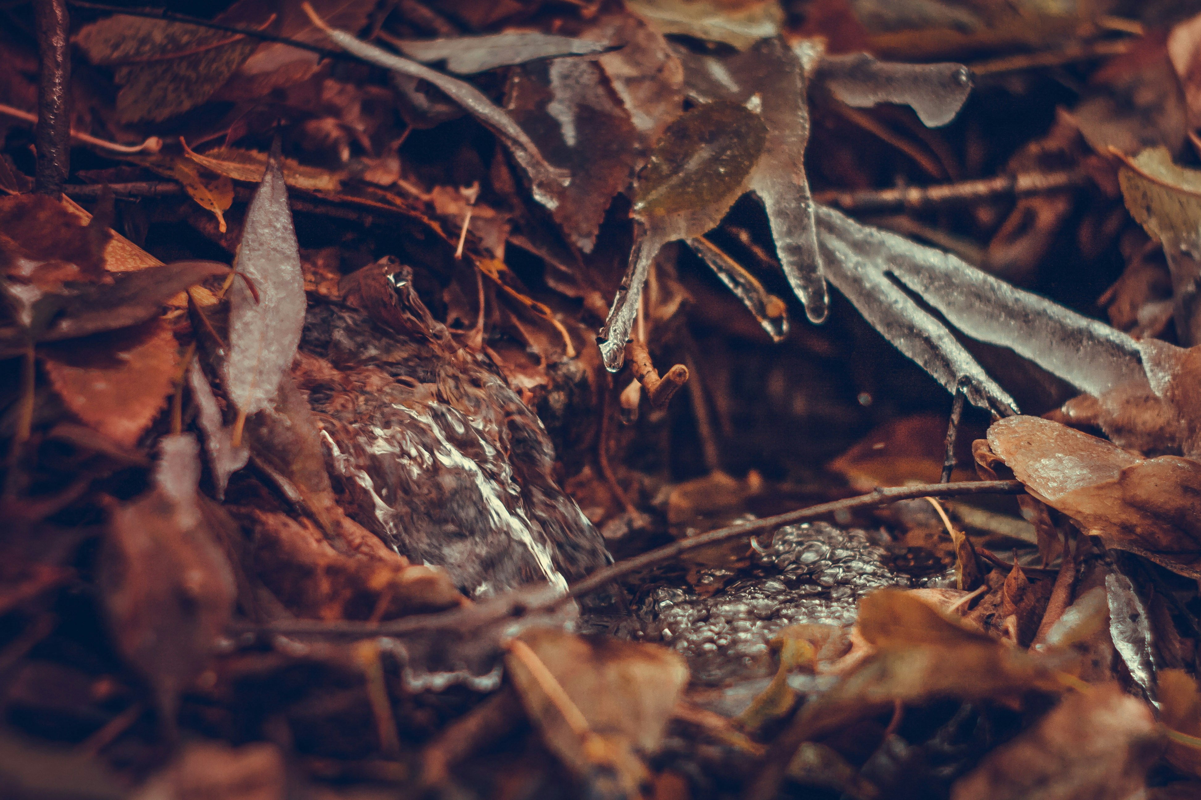 Free Unsplash photo from Alexander Savonin