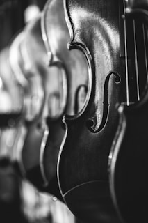 A close-up, black-and-white image highlighting the intricate curves and polished wood surface of several string instruments, likely violins, hanging in a row. The focus is on the sleek body and f-holes, with a shallow depth of field blurring the background instruments.