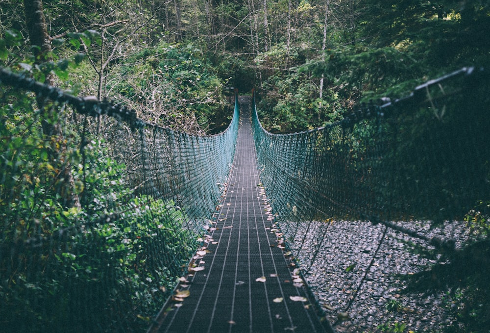 green and black hanging bridge