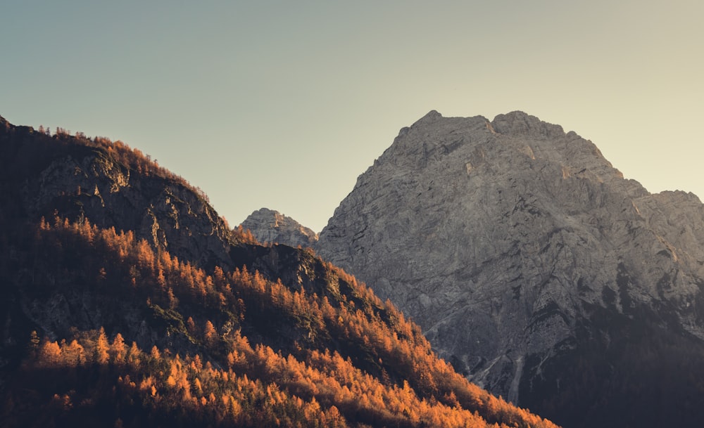 photo of brown mountains