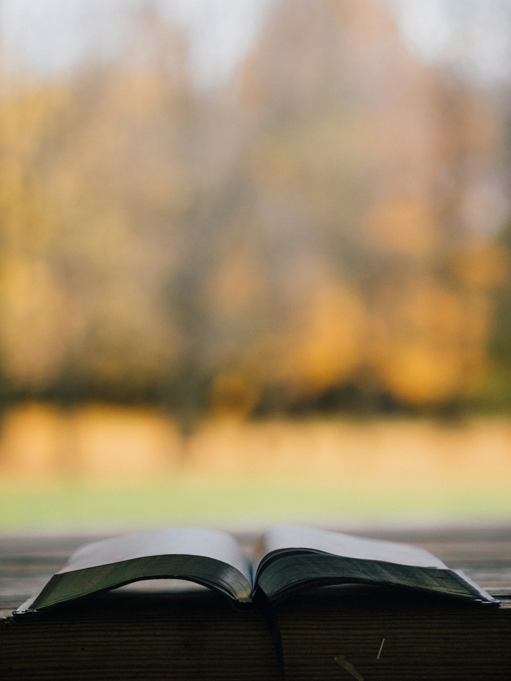 shallow focus photo of book