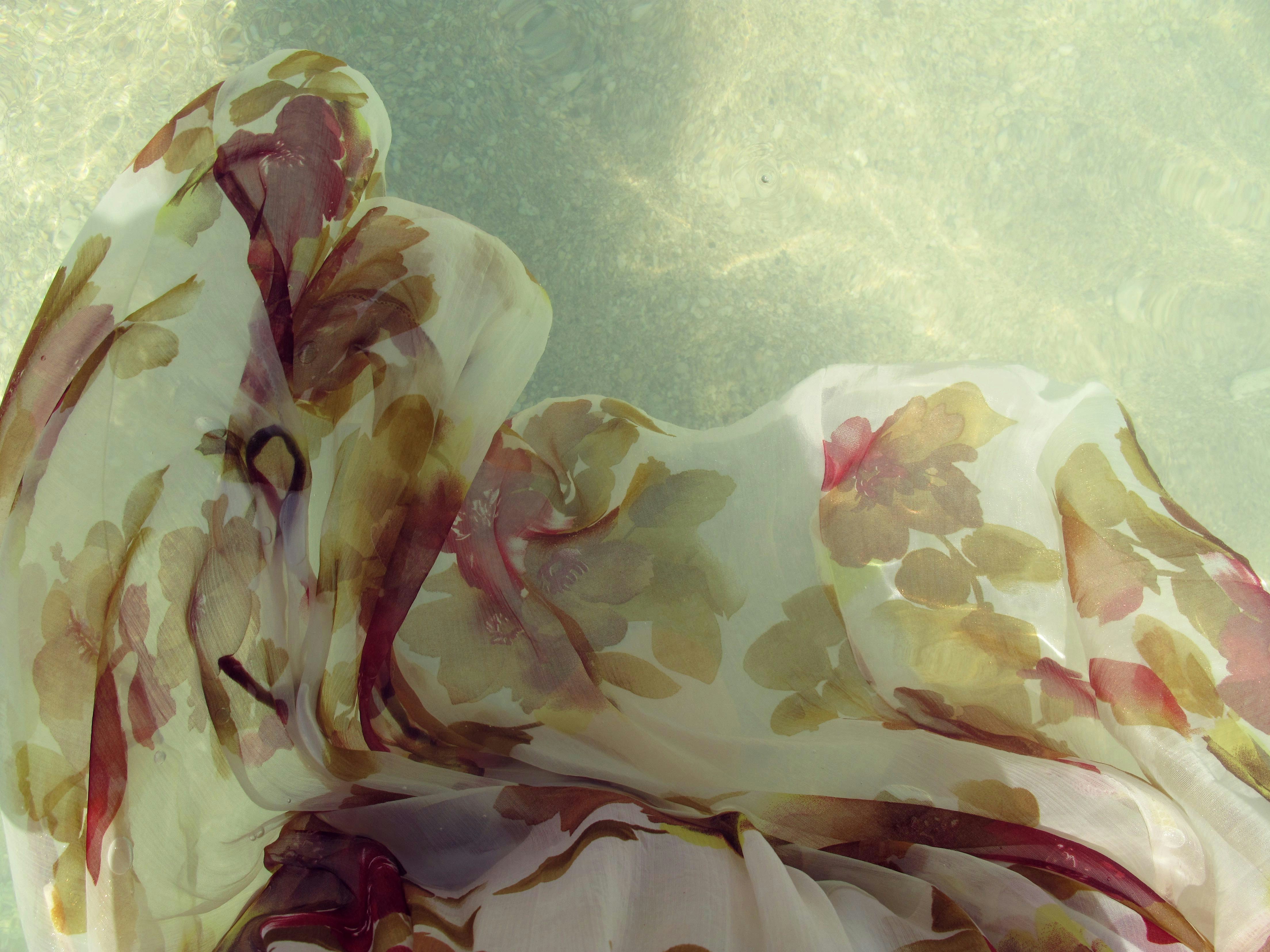 Free Unsplash photo from Barbara Xia