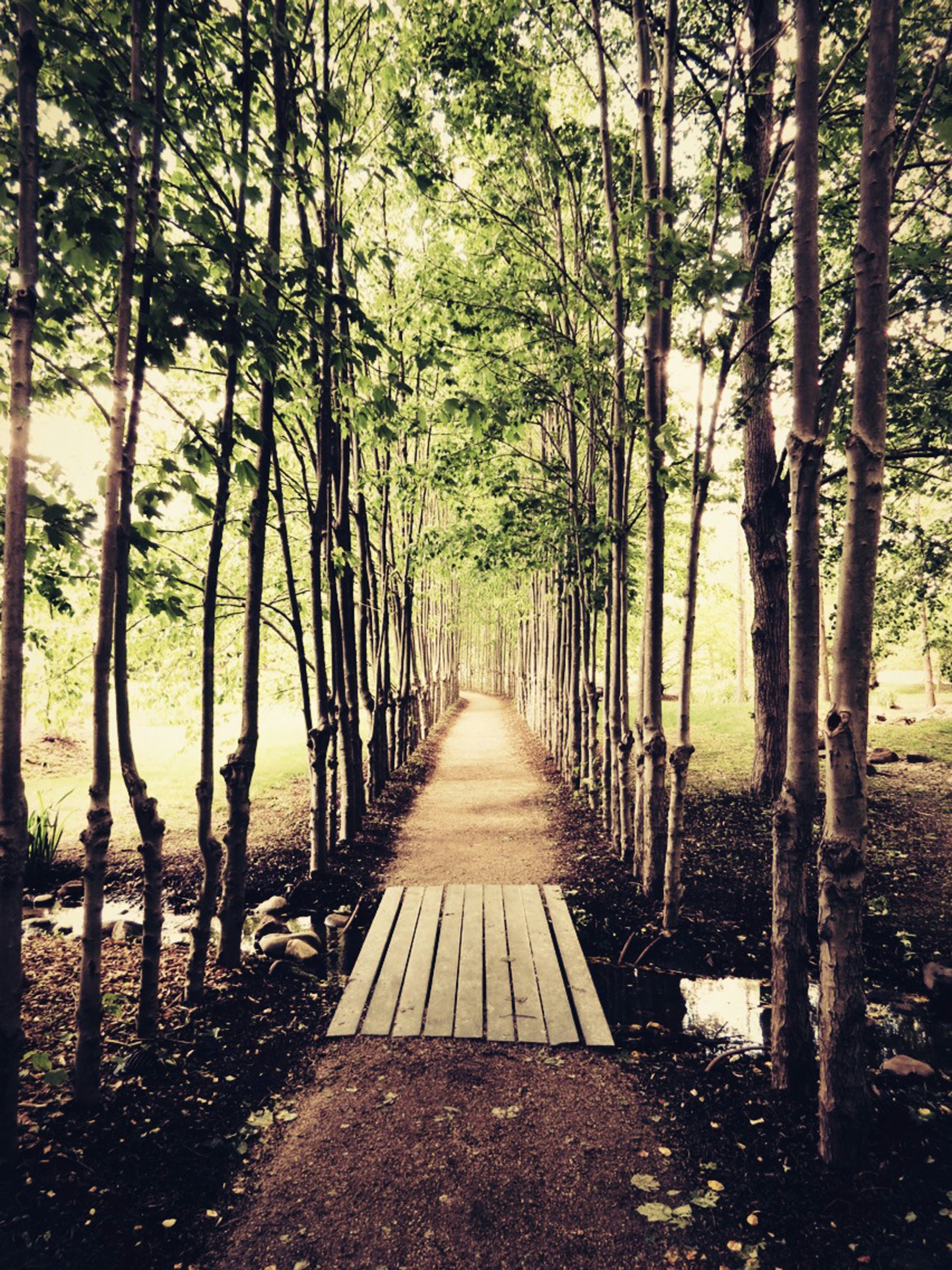 Free Unsplash photo from Barbara Xia