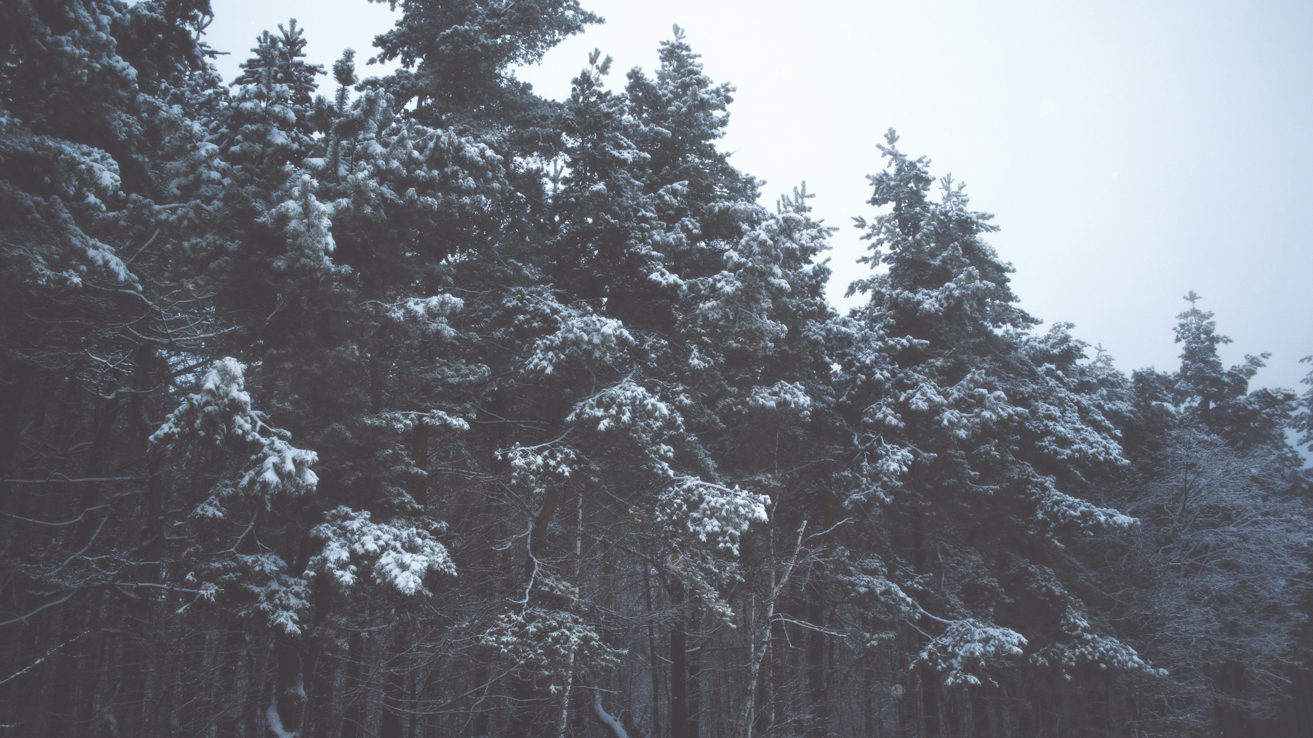 Free Unsplash photo from Andyone