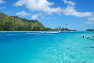 Adventurers enjoying water sports at a beautiful beach.