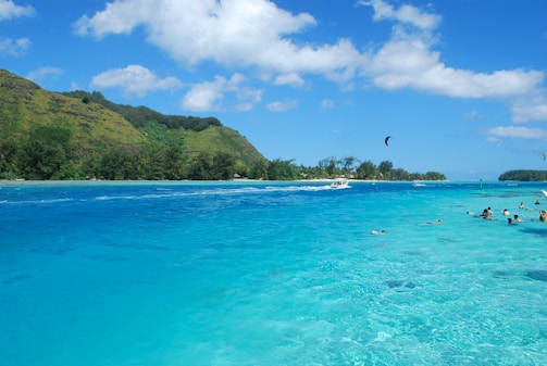 Adventurers enjoying water sports at a beautiful beach.