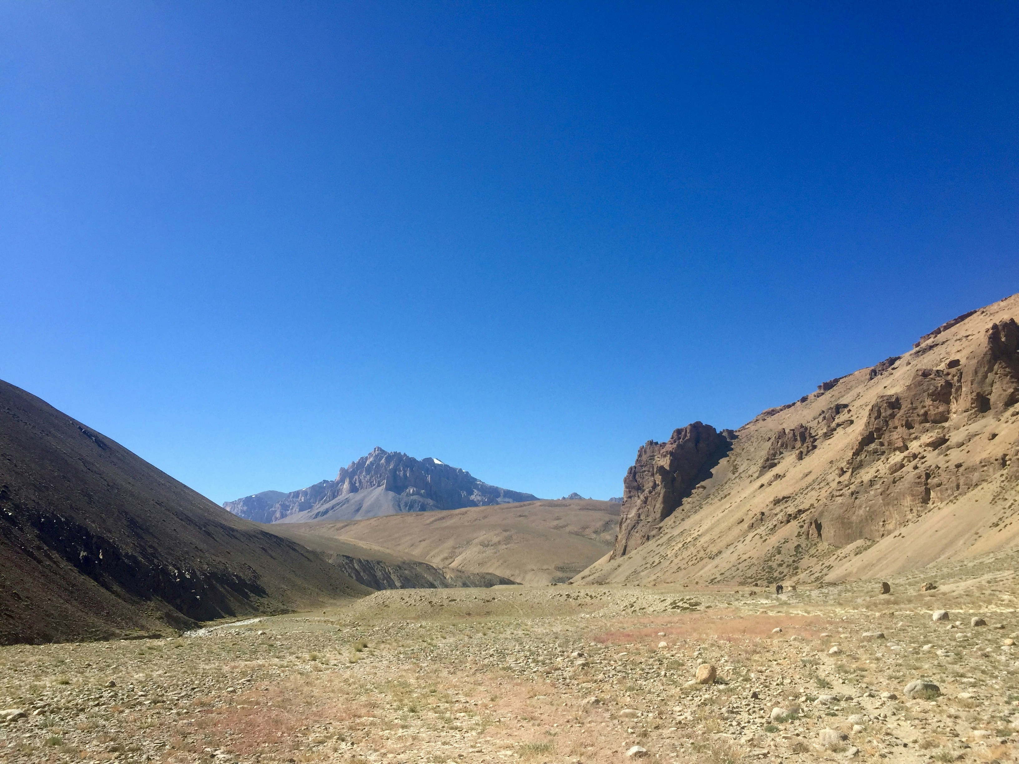 Free Unsplash photo from Alan Jones