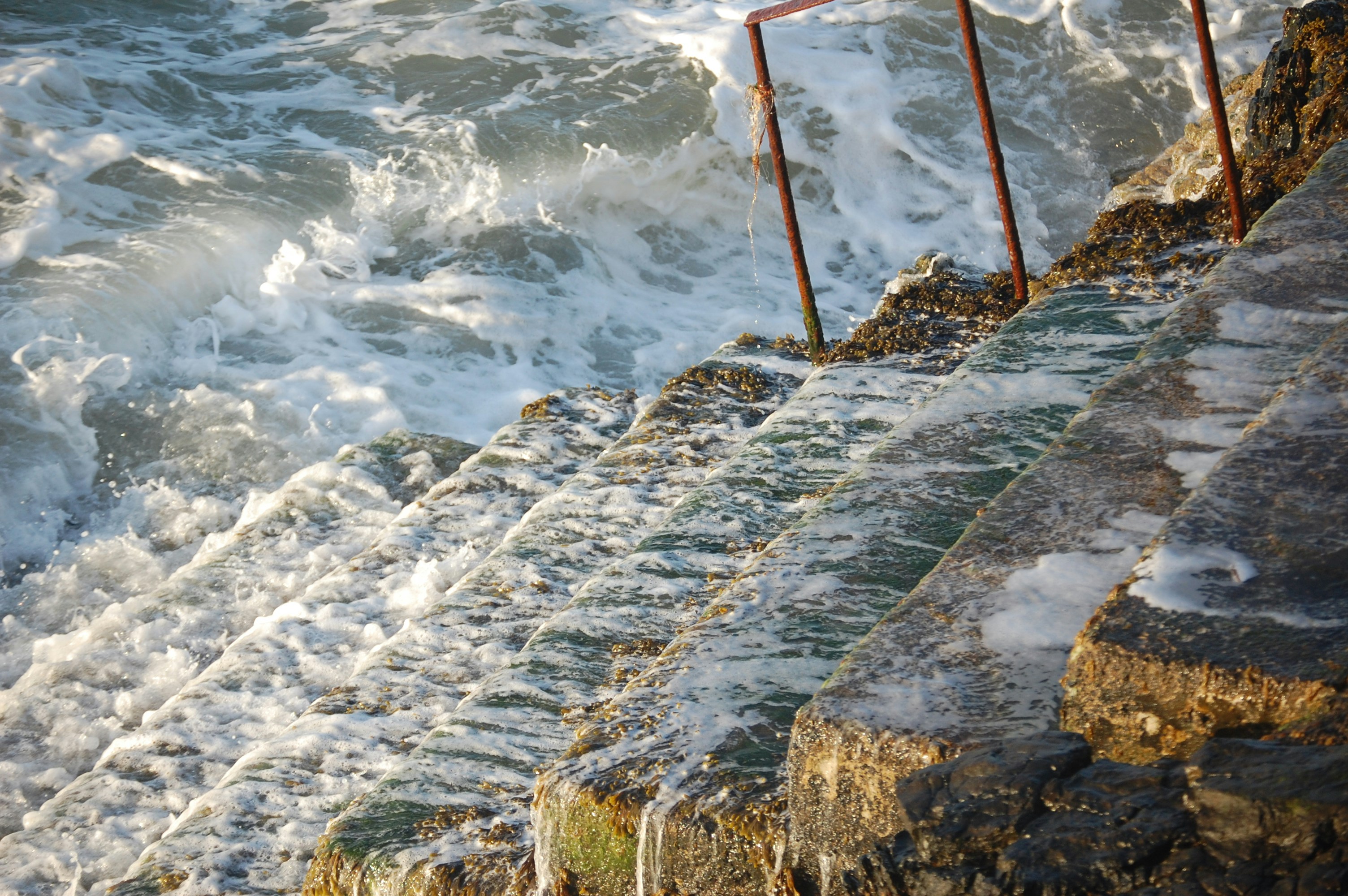 Free Unsplash photo from Robbie De Vries