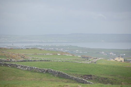 landscape photo of green grass field in Cliffs of Moher Ireland