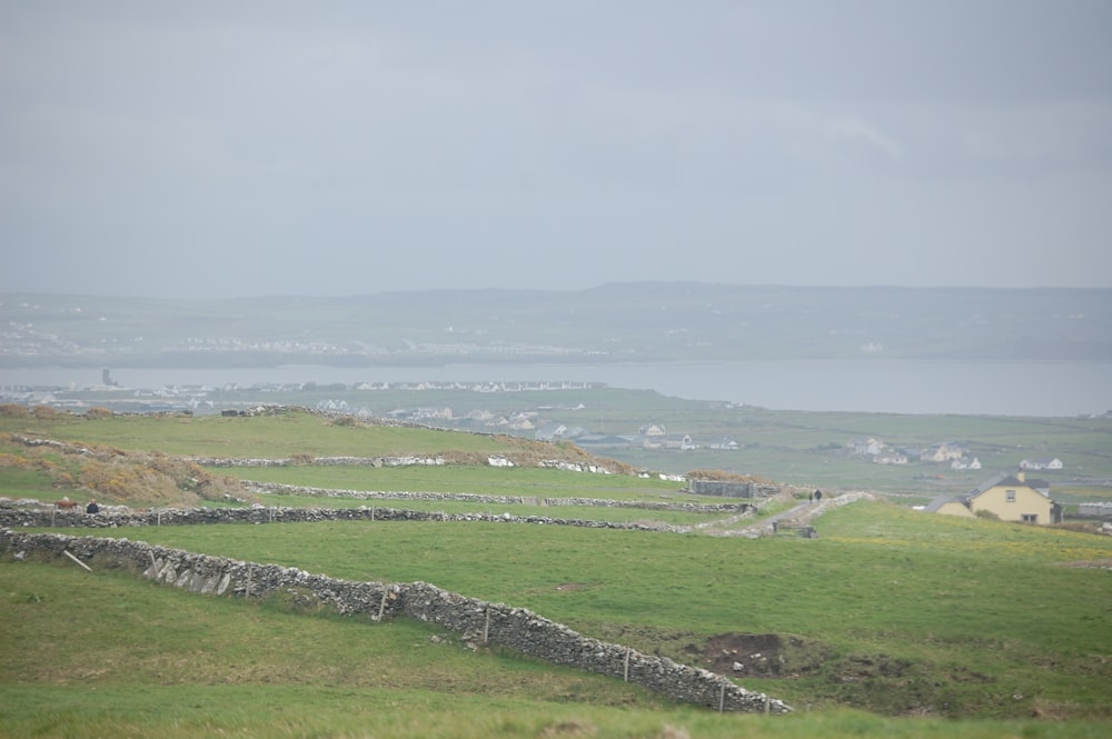 photo de paysage de champ d’herbe verte