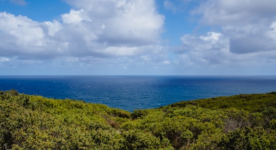 Cape Otway Lightstation things to do in Princetown