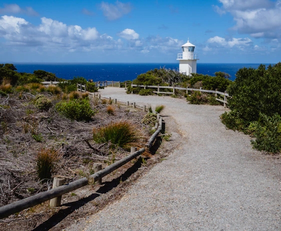A serene coastal landscape with a winding path leading to a distant lighthouse under soft morning light.