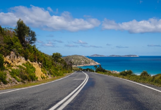 curved road near cliff in Wilsons Promontory National Park Australia