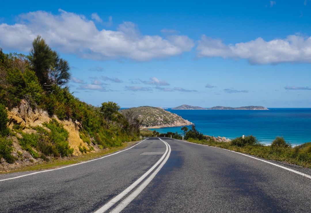 curved road near cliff,