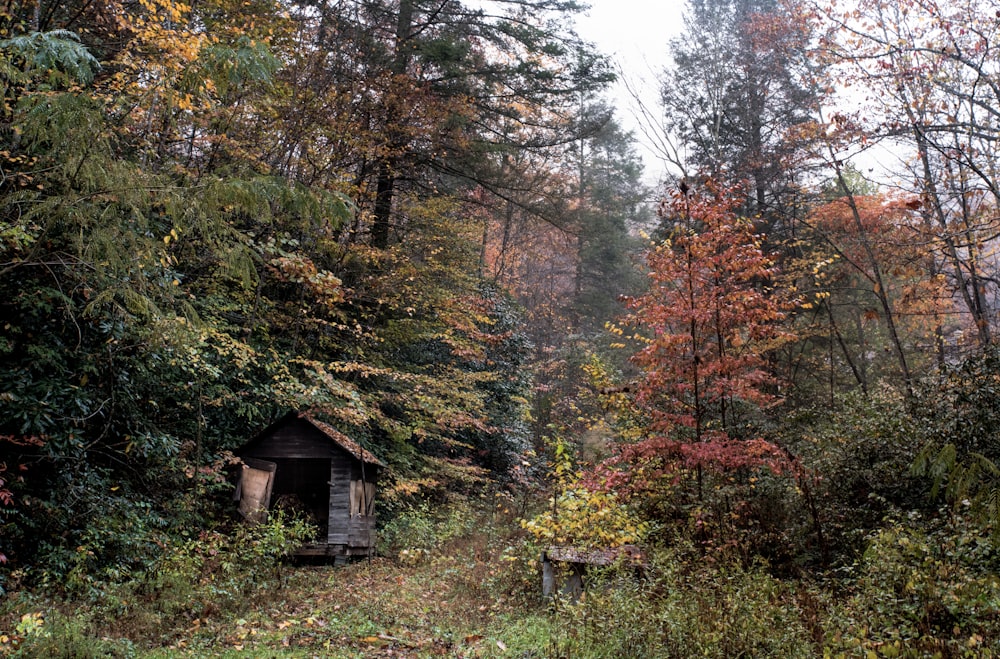 arbres verts et roses pendant la journée