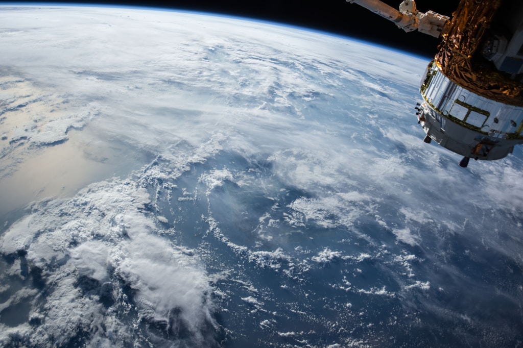 Space astronaut floating above Earth holding a bouquet of wildflowers