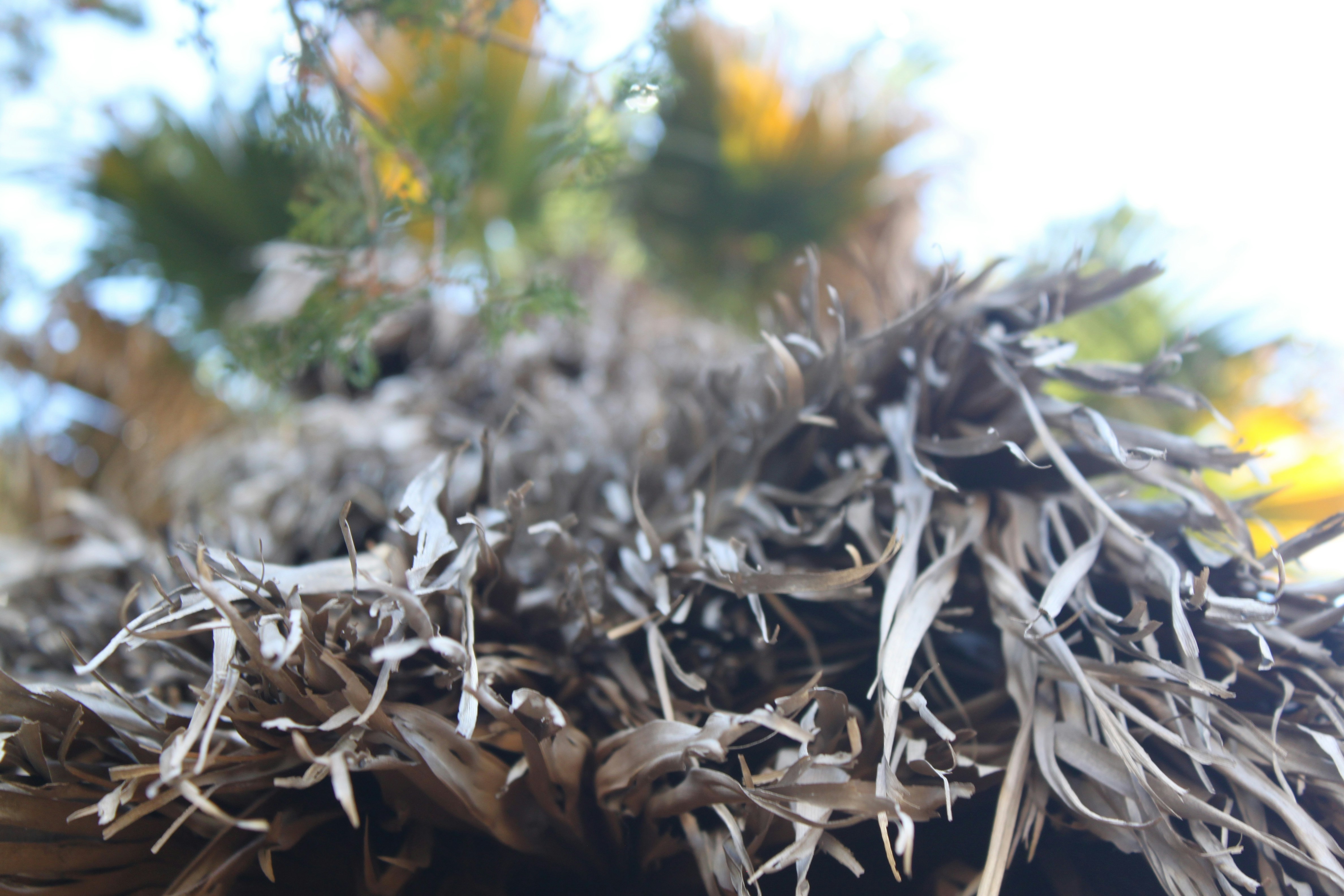 Free Unsplash photo from Renaldo Geldenhuis