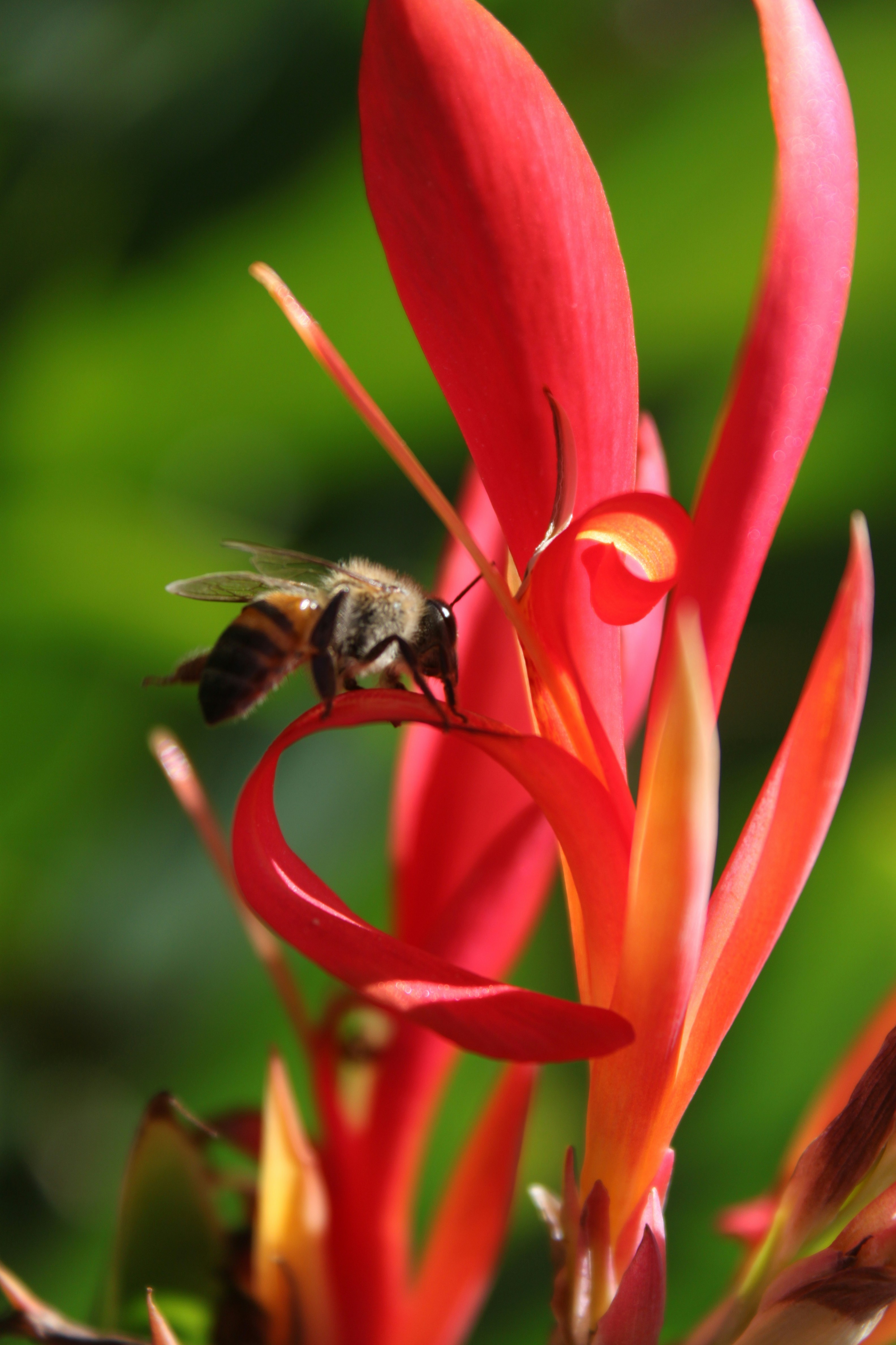 Free Unsplash photo from Renaldo Geldenhuis