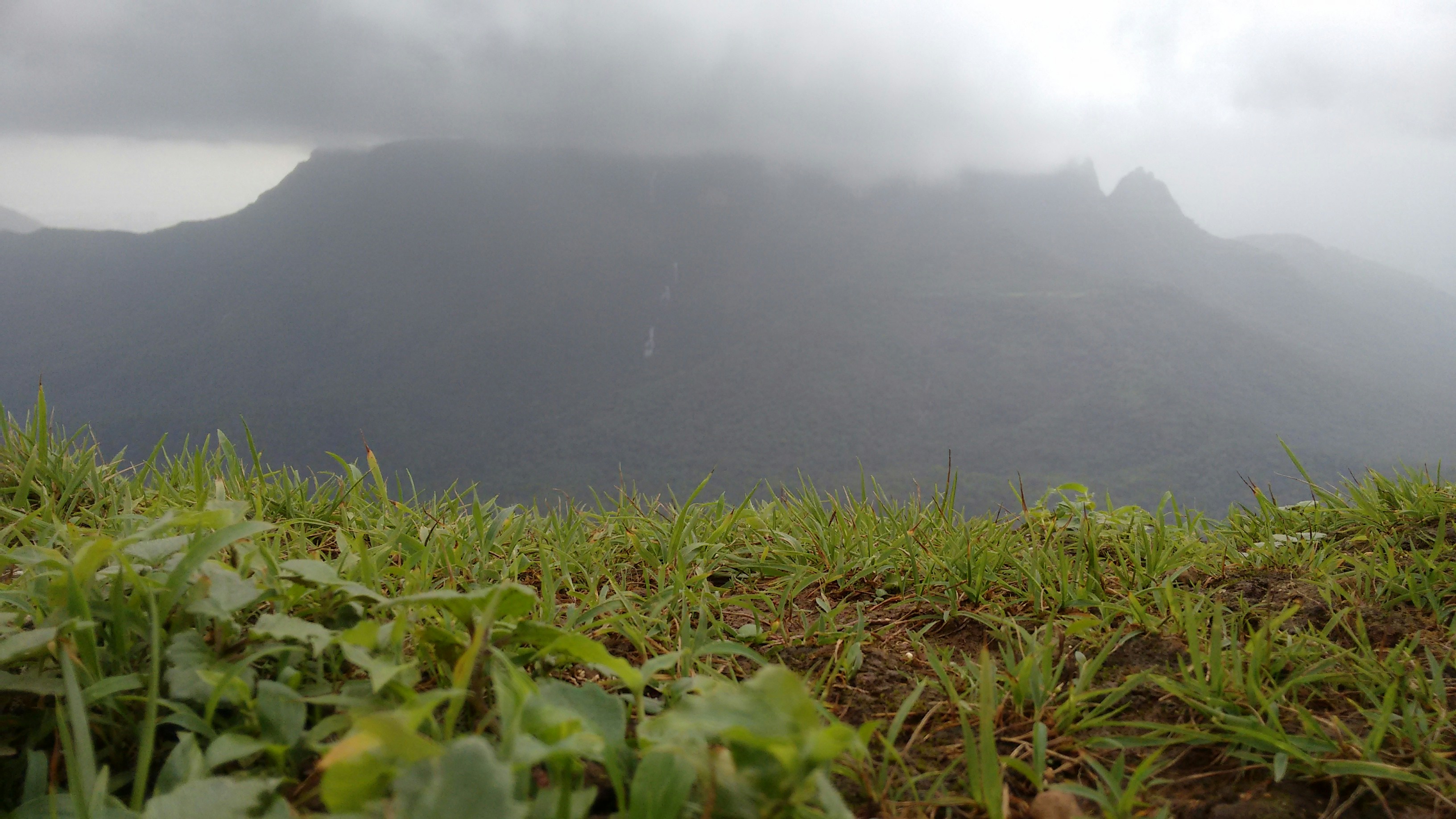 Free Unsplash photo from Arjun Shendage