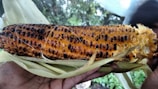 A roasted corn cob with golden brown kernels is held in a hand, partially wrapped in its husk. The char marks create a pattern across the corn, and the background is a blurred natural setting with shades of green and brown.