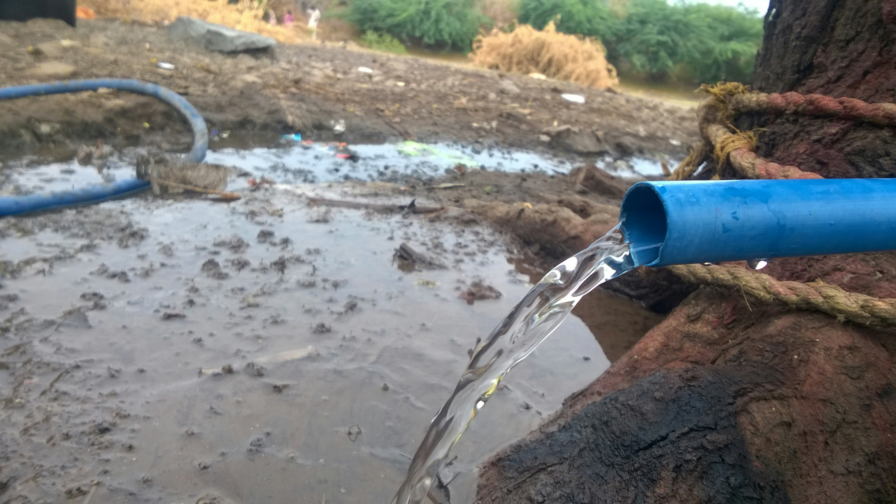 Free Unsplash photo from Arjun Shendage