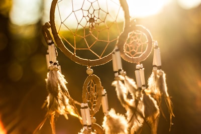 dream catcher native google meet background