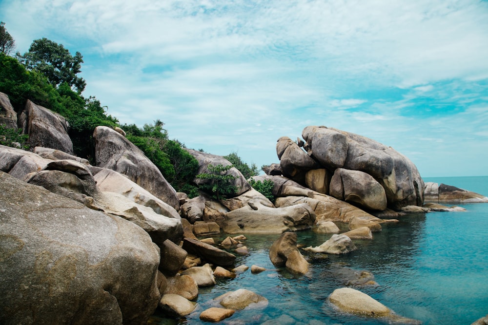 brown rocks near body of water during daytime